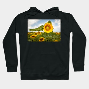 Sunflower and Bees Hoodie